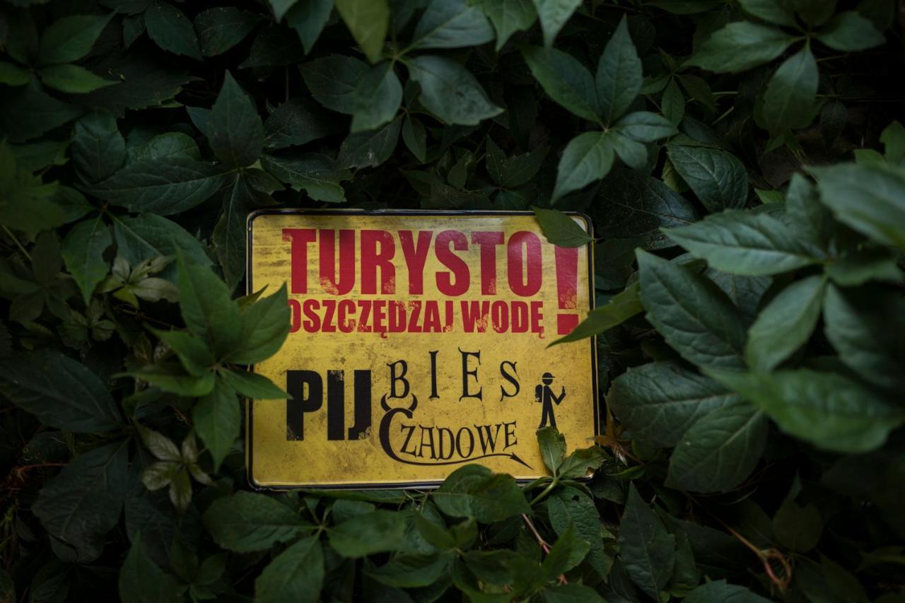 Przystanek Smerek Wetlina Exterior foto